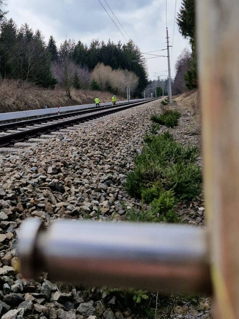 WhatsApp Image 2023-03-06 at 17.57.22 (3)